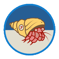 Hermit Crab Sticker by Skallywag Media