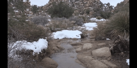 Education Biology GIF by DIIMSA Stock