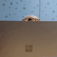 Sup Hello GIF by Microsoft Edge