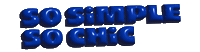 CHER17ua cher17 Sticker