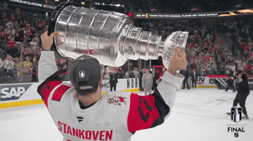 Celebrate Stanley Cup Playoffs GIF by NHL