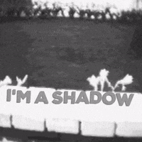 Black And White Film GIF by jorgemariozuleta