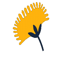 Medellin Alcaldia Sticker by Alcaldía de Medellín