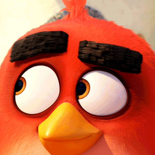 dance eyebrows GIF by Angry Birds