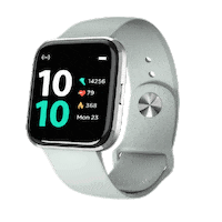 PebbleIndia technology reveal premium smartwatch Sticker