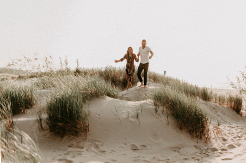 aleboscostudio giphyupload GIF