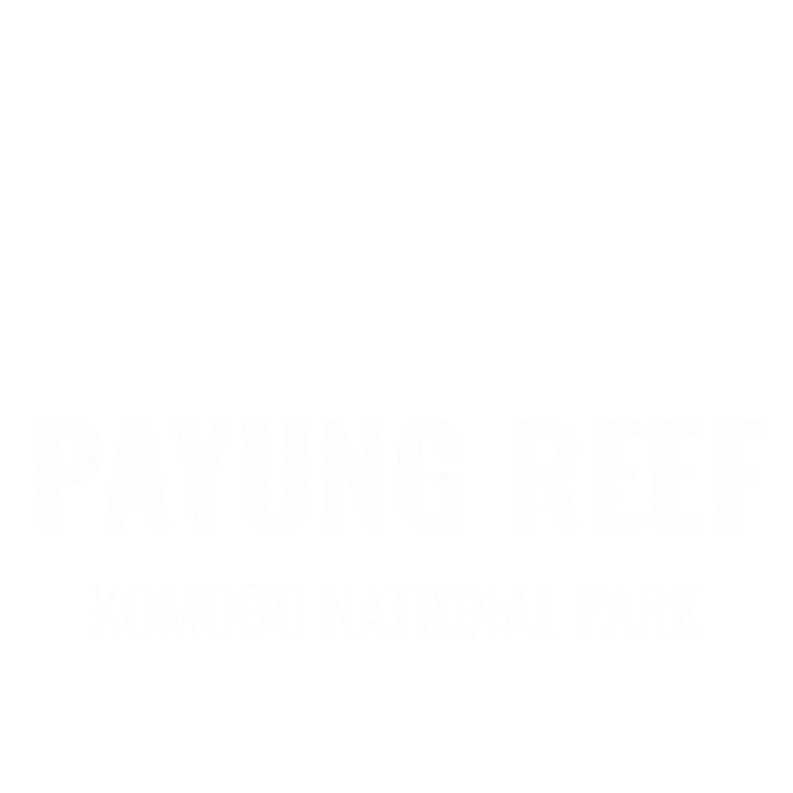 Scubadiving Sticker by Dragon Dive Komodo