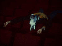 SofiaInternationalFilmFestival movie horse cinema unicorn GIF