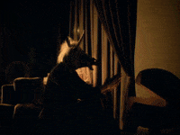 SofiaInternationalFilmFestival hot movie fire winter GIF