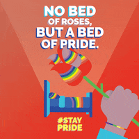 Fun Love GIF by staypride