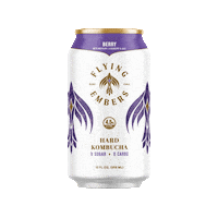 Drunk Cheers Sticker by Flying Embers