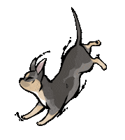 Cat Dog Sticker