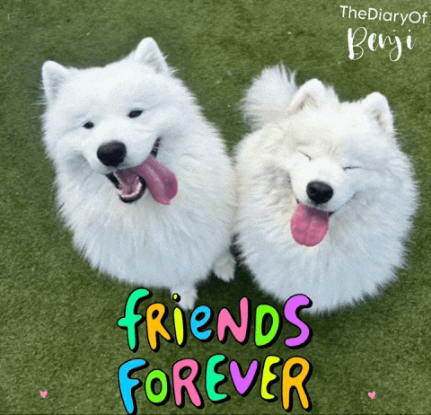 Friends Smiling GIF