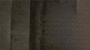 Jesus Christ California GIF