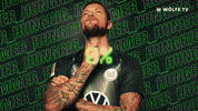 Soccer Bundesliga GIF by VfL Wolfsburg