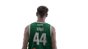 Sport Basketball Sticker by Basket_fi