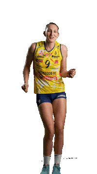 Lubian Sticker by ImocoVolley