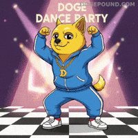 Happy Lets Go GIF by Doge Pound