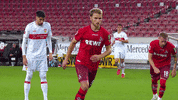 1 Fc Cologne Football GIF by 1. FC Köln
