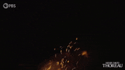 Camping Henry David Thoreau GIF by PBS