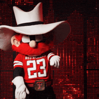 Texas Tech Athletics GIF by Texas Tech Football