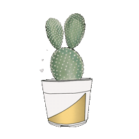 zamidesigner plants plantas zamidesigner Sticker