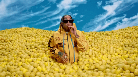 Tyga GIF by Doja Cat