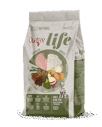 Life Pet Sticker by Quatree