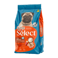 Quatreeselect Sticker by Quatree