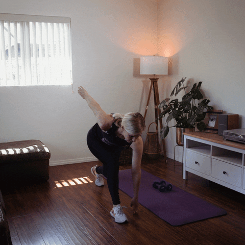 briannaparcel giphyupload single-leg jumping lunge GIF