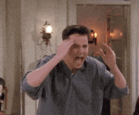 Season 2 Wow GIF by Friends