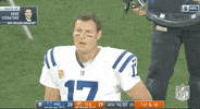 Regular Season Football GIF by NFL