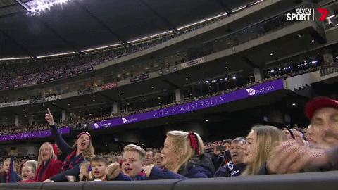 stand up yes GIF by Melbournefc