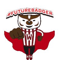 College Badgers Sticker by uwadmissions