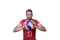 Volleyball Sticker by RedLynxes