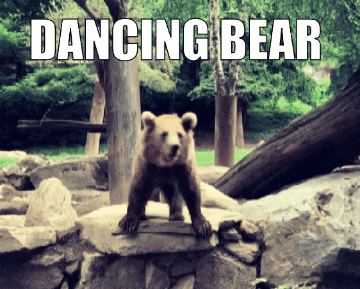 Wailrone giphygifmaker giphygifmakermobile dance bear GIF