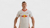 Oh Yeah Yes GIF by RB Leipzig