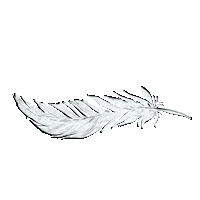 Cotton Feather Sticker