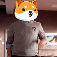 Fun Crypto GIF by Baby Doge Coin