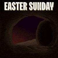 Easter Sunday Penguin GIF by Pudgy Penguins