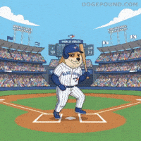 Lets Go Baseball GIF by Doge Pound