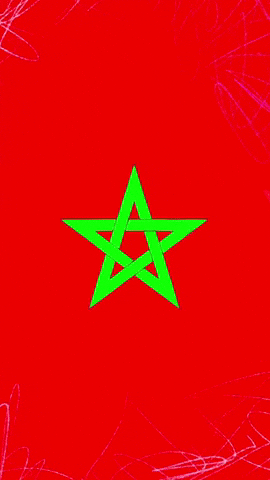 Maroc GIF by systaime