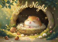 Notyourcleo notyourcleo sleeping hamster sleepy hamster hamster sleepy GIF