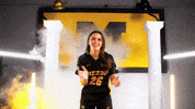 Tigers Missouri GIF by Mizzou Athletics