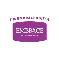 Embracepetins  Sticker