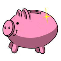 EvaRami money rosa dinero ahorro Sticker