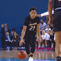 towsonuniversity basketball ncaa womens basketball crossover GIF
