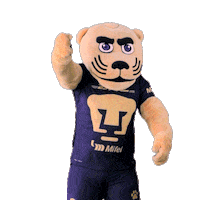 Happy Football Sticker by Pumas MX