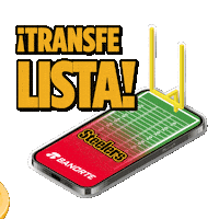 Touchdown Steelers Sticker by Banorte