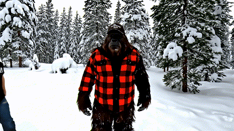 GIF by PekoeMortgages